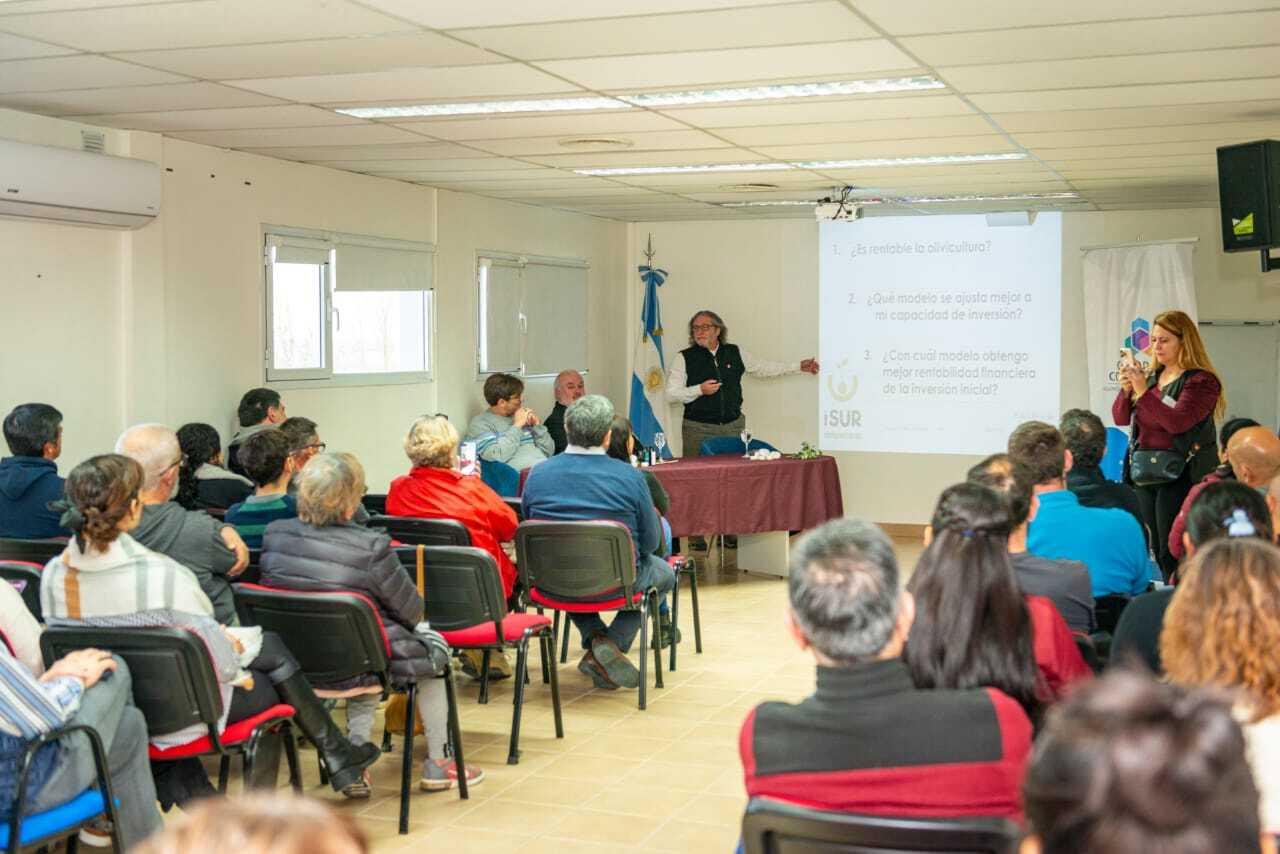 Comodoro da un paso hacia la diversificación productiva con el inicio de la producción de aceite de oliva 2025