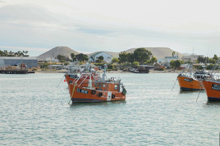 Producción e Industria
