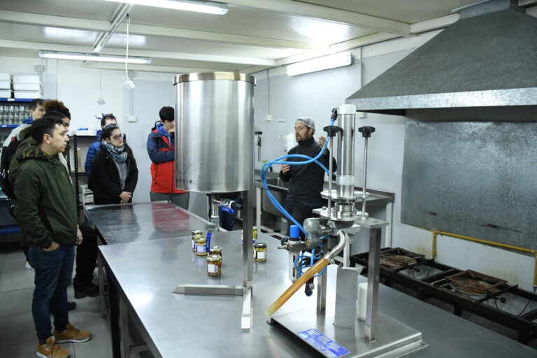 Proyecto Producción, Industrialización y Comercialización