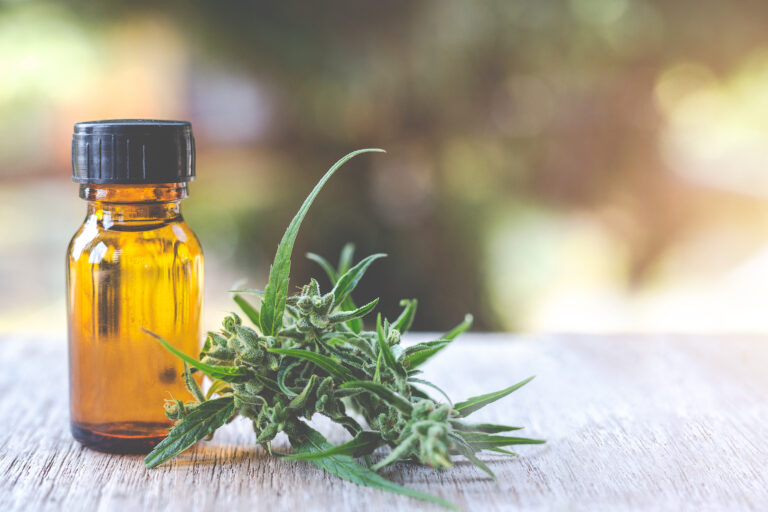 Promoción y desarrollo del cannabis