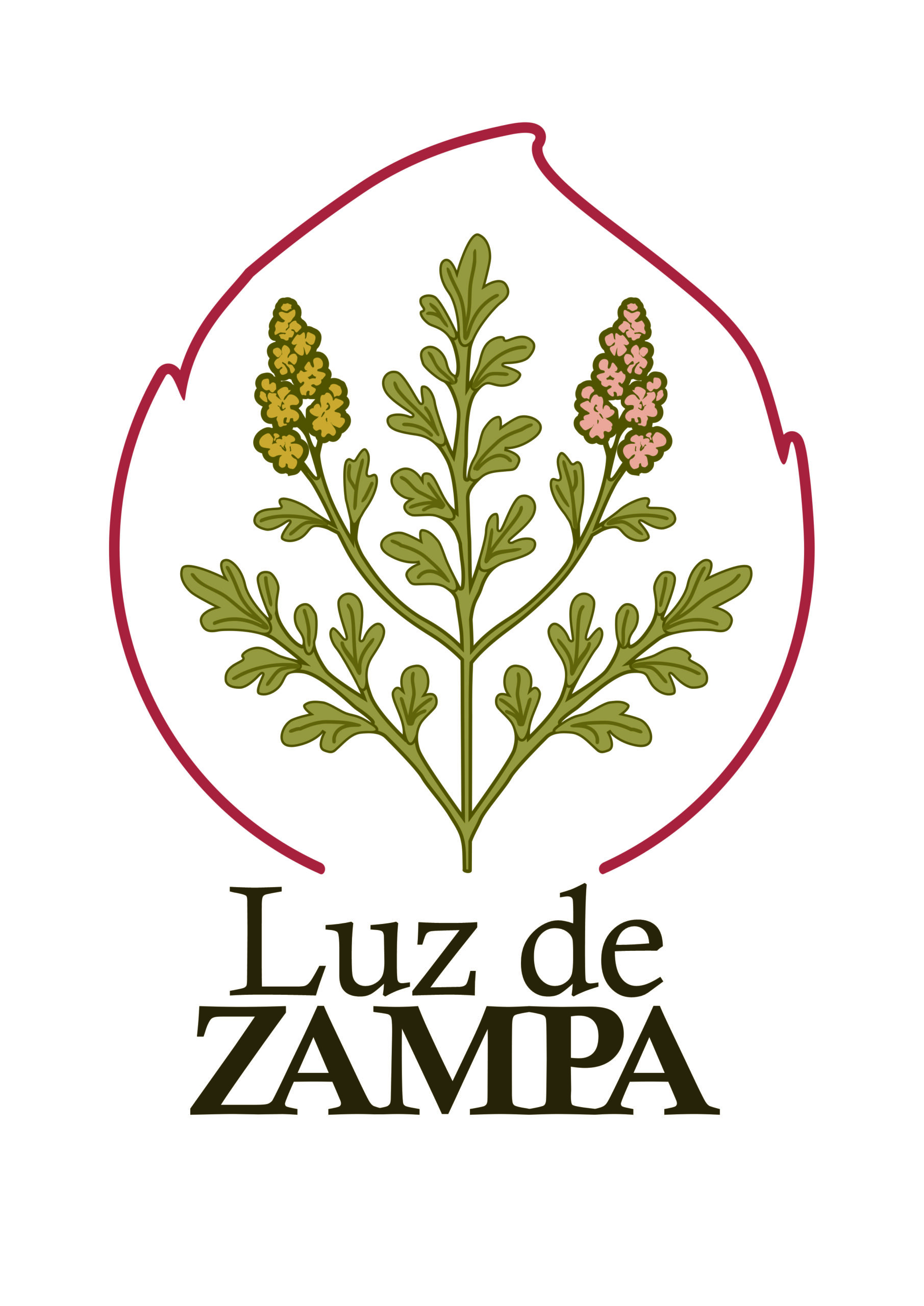2025.52.53.54 LUZ DE ZAMPA